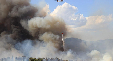 Çanakkale Kepez'de Orman Yangını