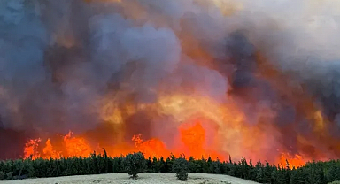 Çanakkale yangını devam ediyor: Ezine, Enez ve Şehzadeler'deki yangınlar kontrol altında