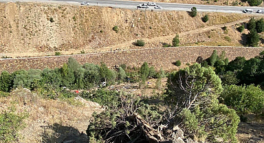 Fındık işçilerini taşıyan minübüs uçuruma yuyarlandı: Ölü ve yaralılar var