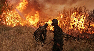 Gelibolu'da orman yangını