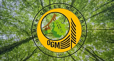 Orman Yangını Riski Yükseldi: OGM'den uyarı geldi