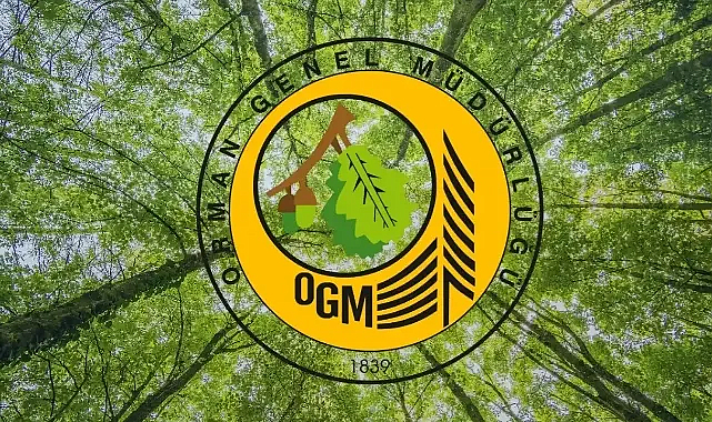 Orman Yangını Riski Yükseldi: OGM'den uyarı geldi