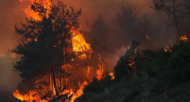 Seferihisar’da orman yangını: Havadan ve karadan müdahale sürüyor