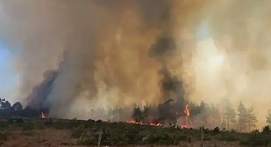 İzmit'te orman yangını: Havadan ve karadan müdahale ediliyor