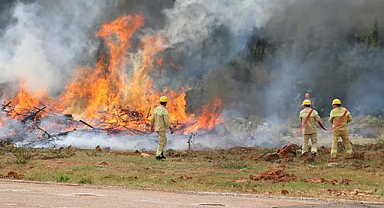 Orman yangınlarında hayatını kaybeden görevli, gönüllü ve vatandaşlar şehit sayılacak