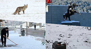 Doğu Karadeniz'de kar etkili oldu