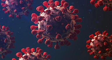 Grip Alarmı: Mutasyona uğramış H3N2 gribi Türkiye'de