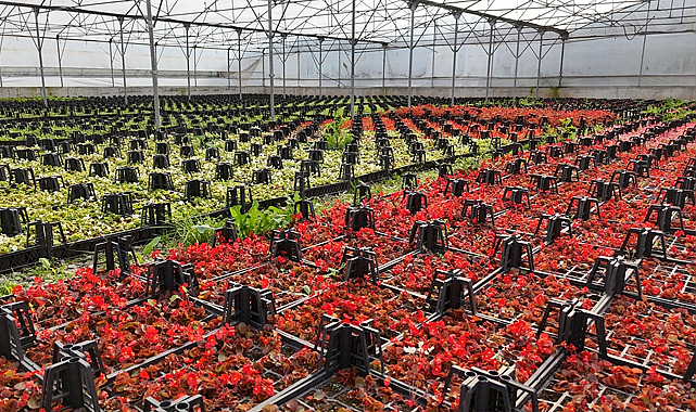 Samsun Büyükşehir Belediyesinden İklim nötr şehir olma hedefi