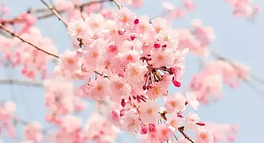 Baharın habercisi Cemre havaya düştü