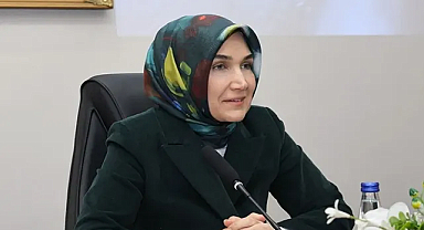 Kübra Güran Yiğitbaşı, valilikten sonra ilk başörtülü bakan yardımcısı oldu