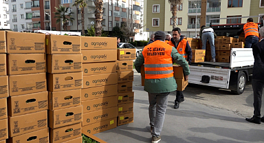Atakumlu çiftçiye 100 bin adet sebze fidesi