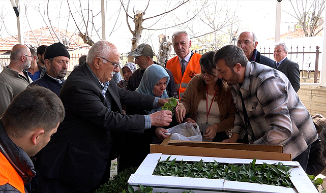 Atakumlu çiftçiye 100 bin adet sebze fidesi