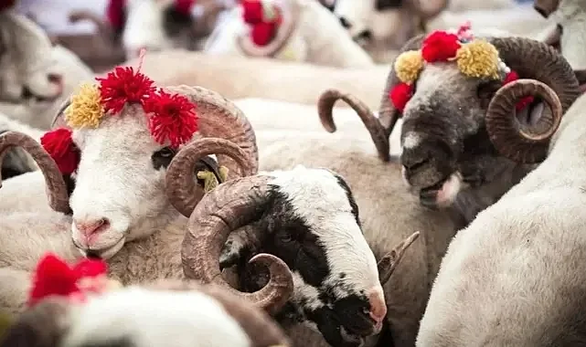 Diyanet vekaletle kurban kesim ücretlerini açıkladı