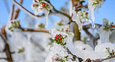 Meteorolojiden 40 il için zirai don ve kuvvetli yağış uyarısı