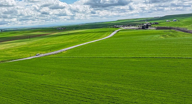 Tarımda bereket: Yağışlar yüzde 87 arttı