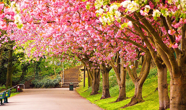 Yeni Hafta Bahar Havasıyla Başlayacak