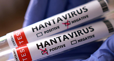 DSÖ’den hantavirüs küresel risk açıklaması