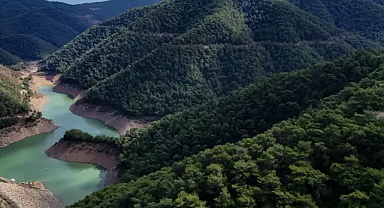 Ormanlık alanlara giriş yasağı başladı