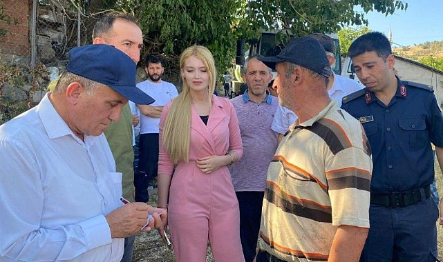Ladik'in