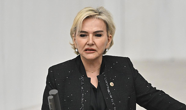 Nimet Özdemir, CHP'den istifa etti