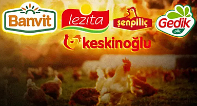 Tekelleşip Halkı Kazıklayan Beyaz Et Şirketlerine Büyük Operasyon