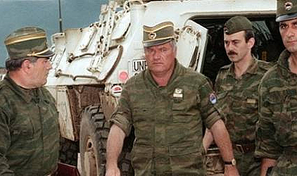Bosna kasabı