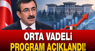 3 yıllık Orta Vadeli Program (OVP) Açıklandı 
