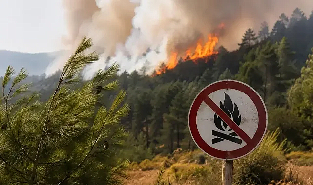 Antalya’da alevler evlere dayandı