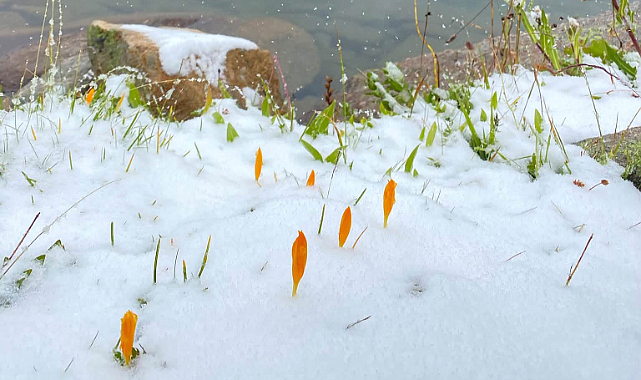 Rize yaylalarına yılın ilk karı düştü