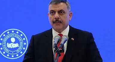Sahipsiz sokak hayvanlarının tamamı toplandı